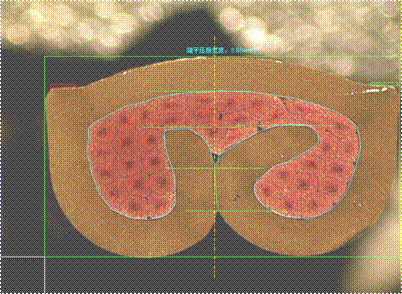 全自動端子截面分析儀